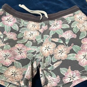 Chubbies French Terry shorts